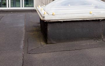 disadvantages of Tolvaddon Downs flat roofs