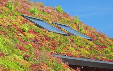 Tolvaddon Downs living roof systems