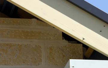 soffit repair Tolvaddon Downs