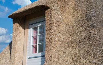 Tolvaddon Downs thatch roof disadvantages