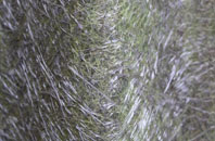 Tolvaddon Downs fibreglass roof work